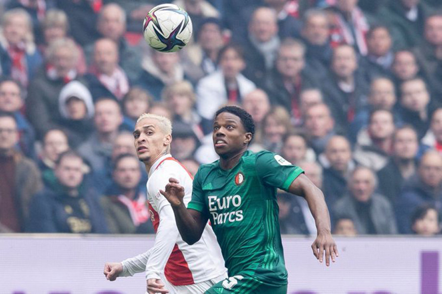 的适应能力 的适应能力